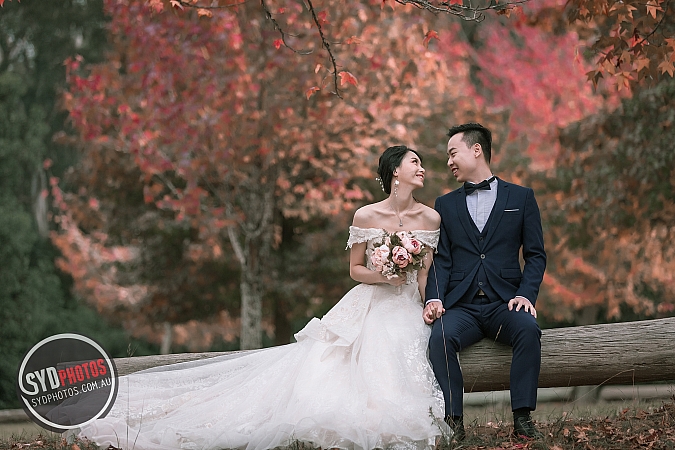 Best Pre Wedding Photography Sydney | Pre Wedding Photoshoot Sydney