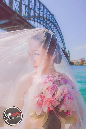 Photographers Portfolios