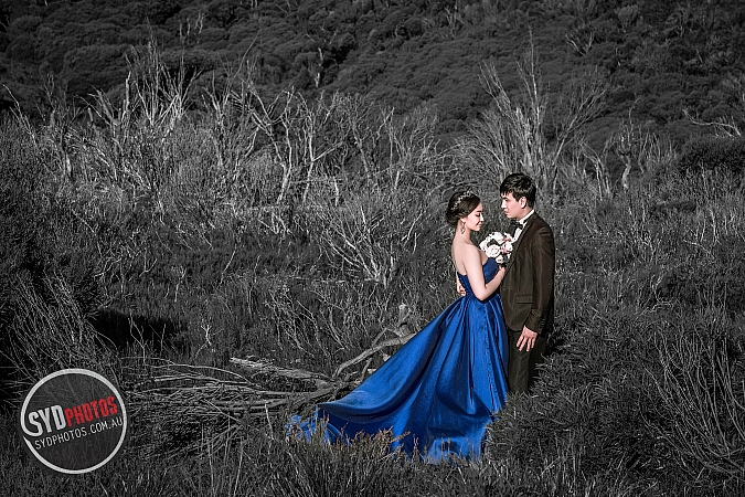 Photographers Portfolios
