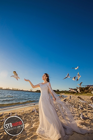 Photographers Portfolios