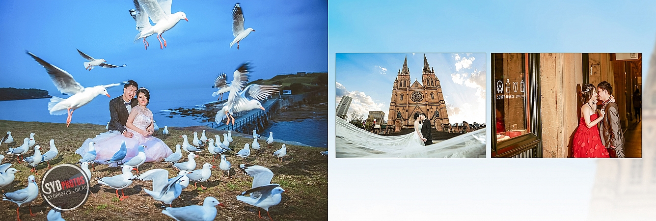 Photographers Portfolios