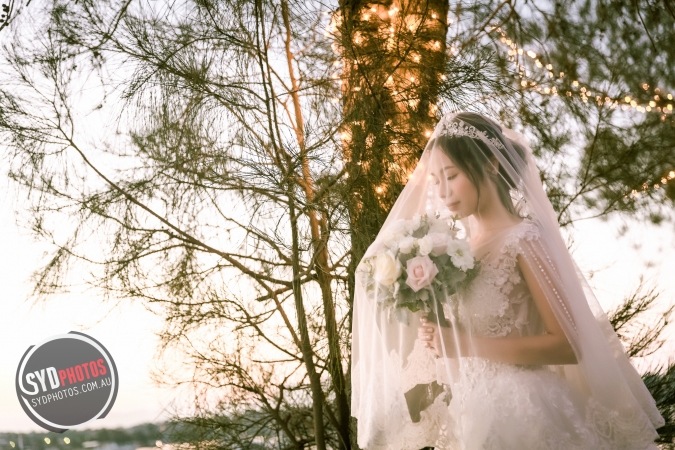 Photographers Portfolios