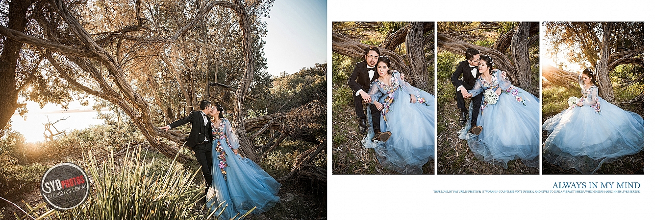 Photographers Portfolios