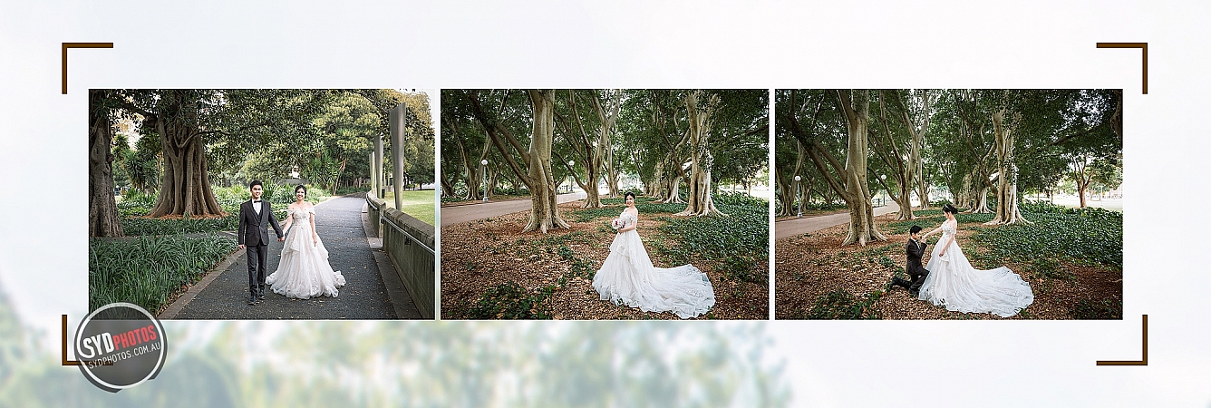 Photographers Portfolios