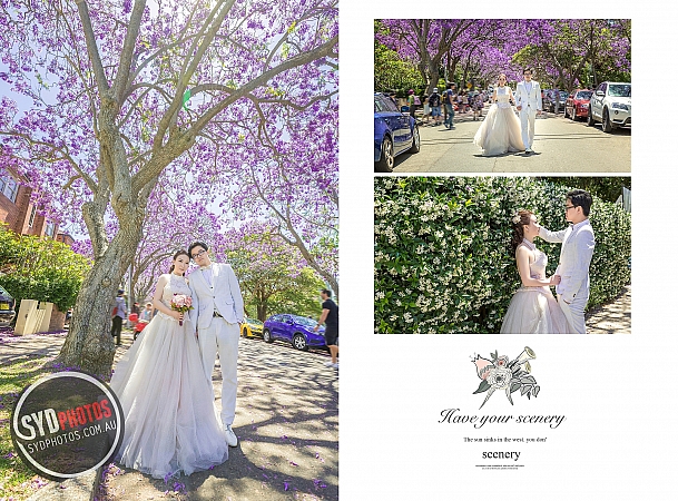 Photographers Portfolios