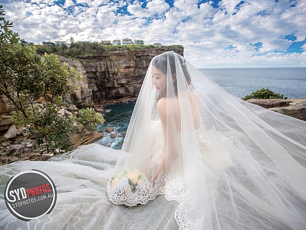 Photographers Portfolios
