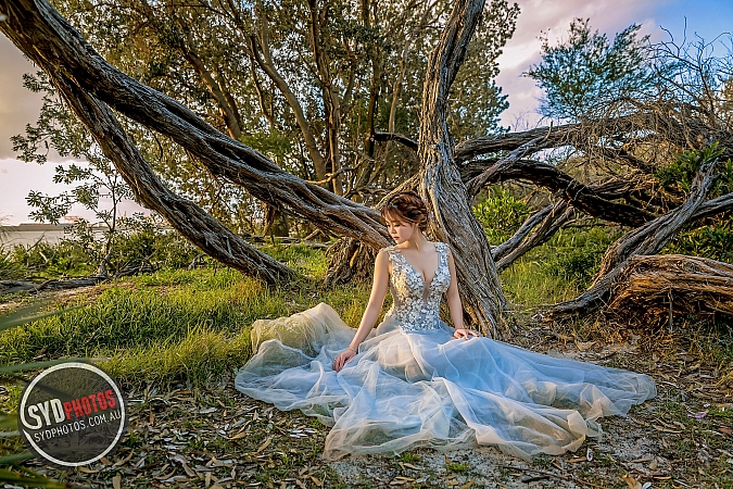 Photographers Portfolios