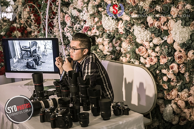 Photographers Portfolios