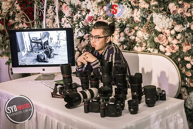 Photographers Portfolios