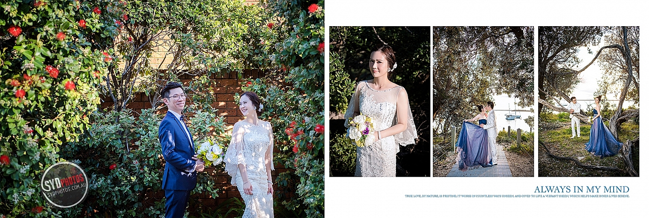 Photographers Portfolios