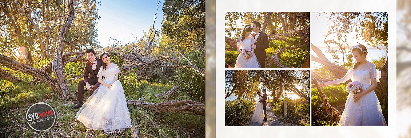 Photographers Portfolios
