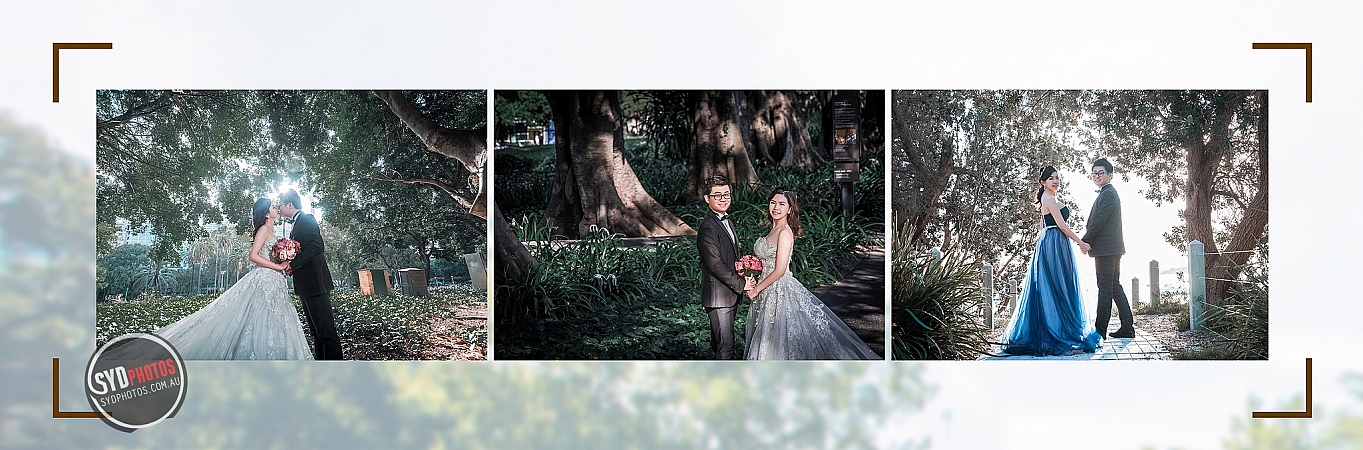 Photographers Portfolios