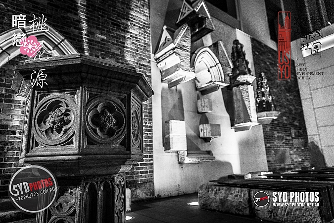 Photographers Portfolios